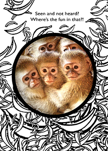 baby monkeys card