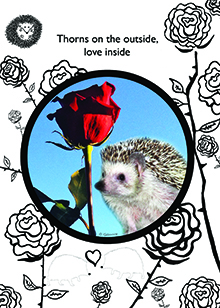 love valentine hedgehog card