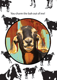 goat-greeting-card