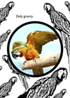 macaw card