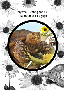 tortoise yoga